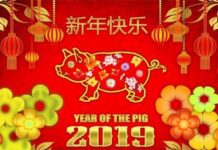 Čínský nový rok 2019 cinsky novy rok