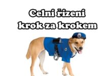 30 – Celní řízení a zadržená zásilka z Číny / USA (Česká pošta) Aliexpress-clo-a-dph-celni-rizeni-tutilka-CZ