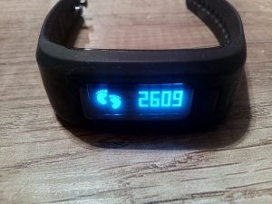 UP-2-excelvan-moving-3-300x225